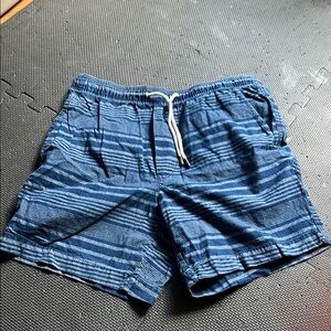 American Eagle Outfitters Navy Plaid Shorts